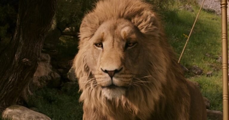 IMAX aposta alto: CEO diz que novo filme de As Crônicas de Nárnia para a Netflix pode “mudar o mundo”
