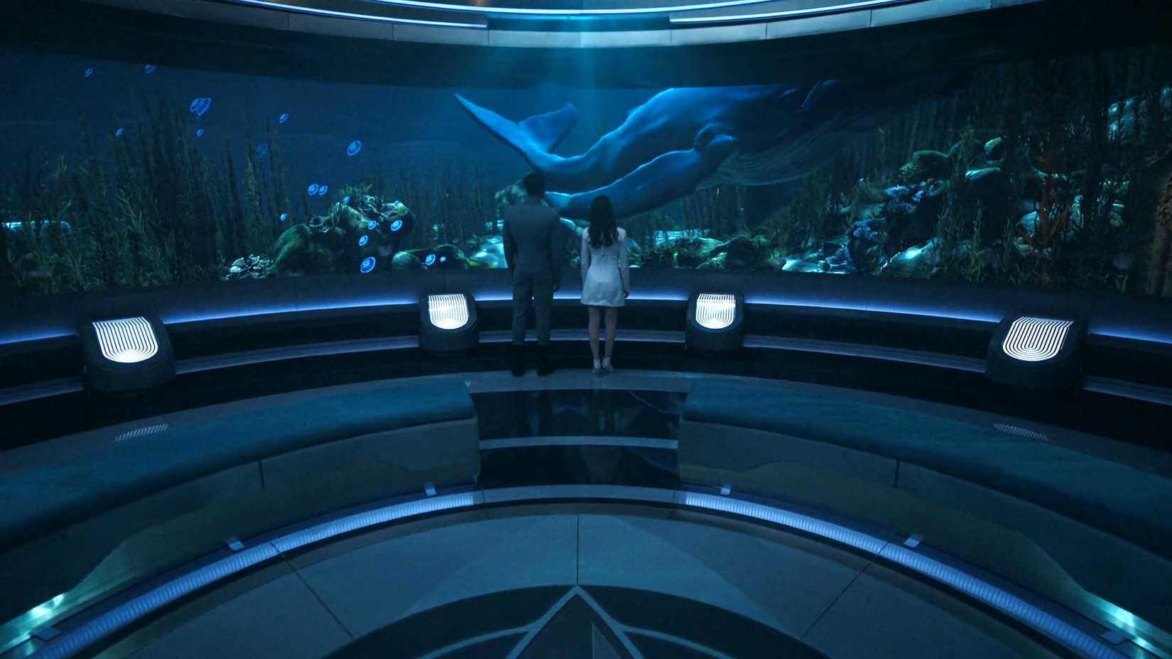 Baleias voltam a brilhar em Star Trek: Starfleet Academy e mantêm tradição de 40 anos - Imagem do artigo original